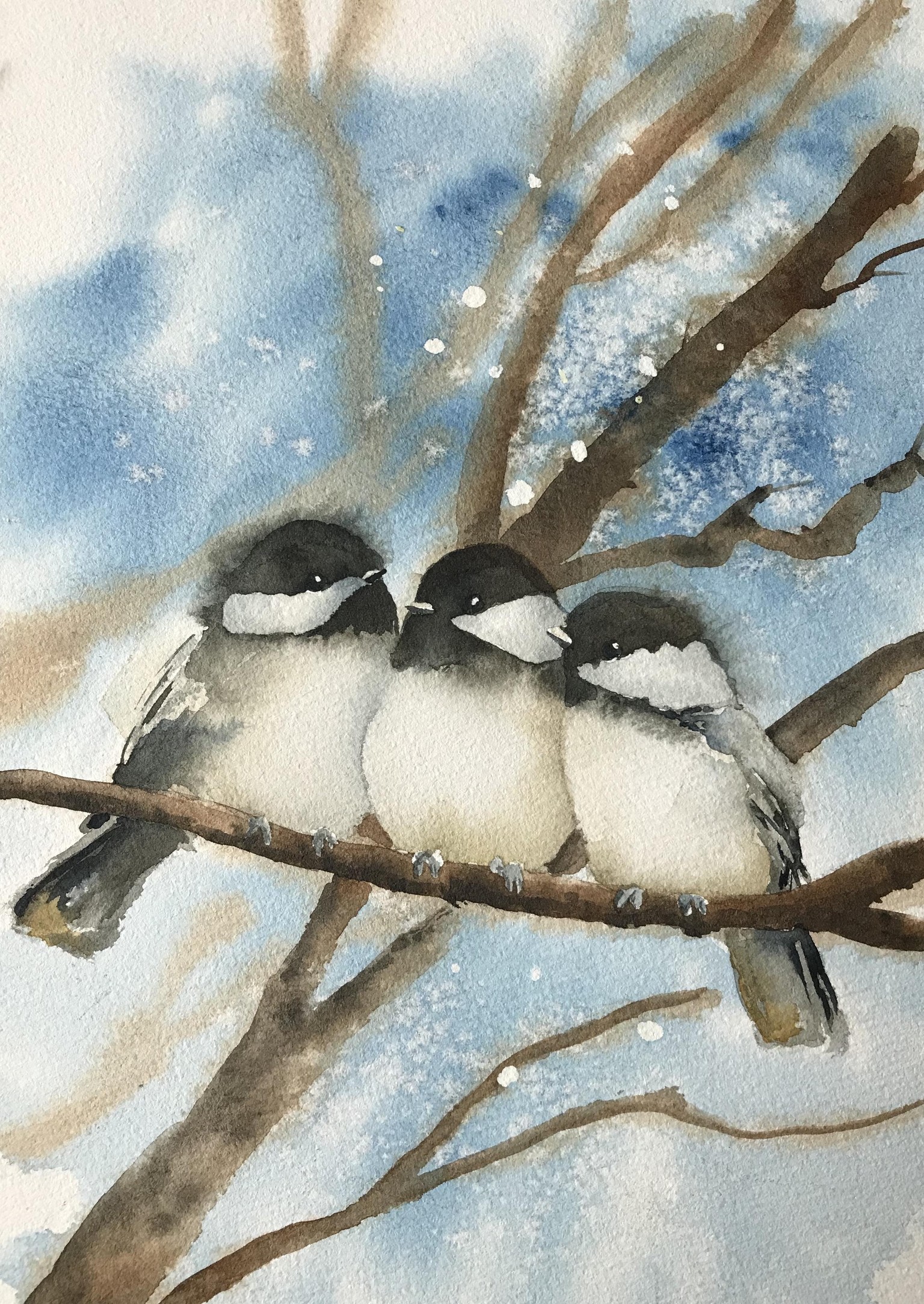 Chickadees on Branches - image 1 - student project