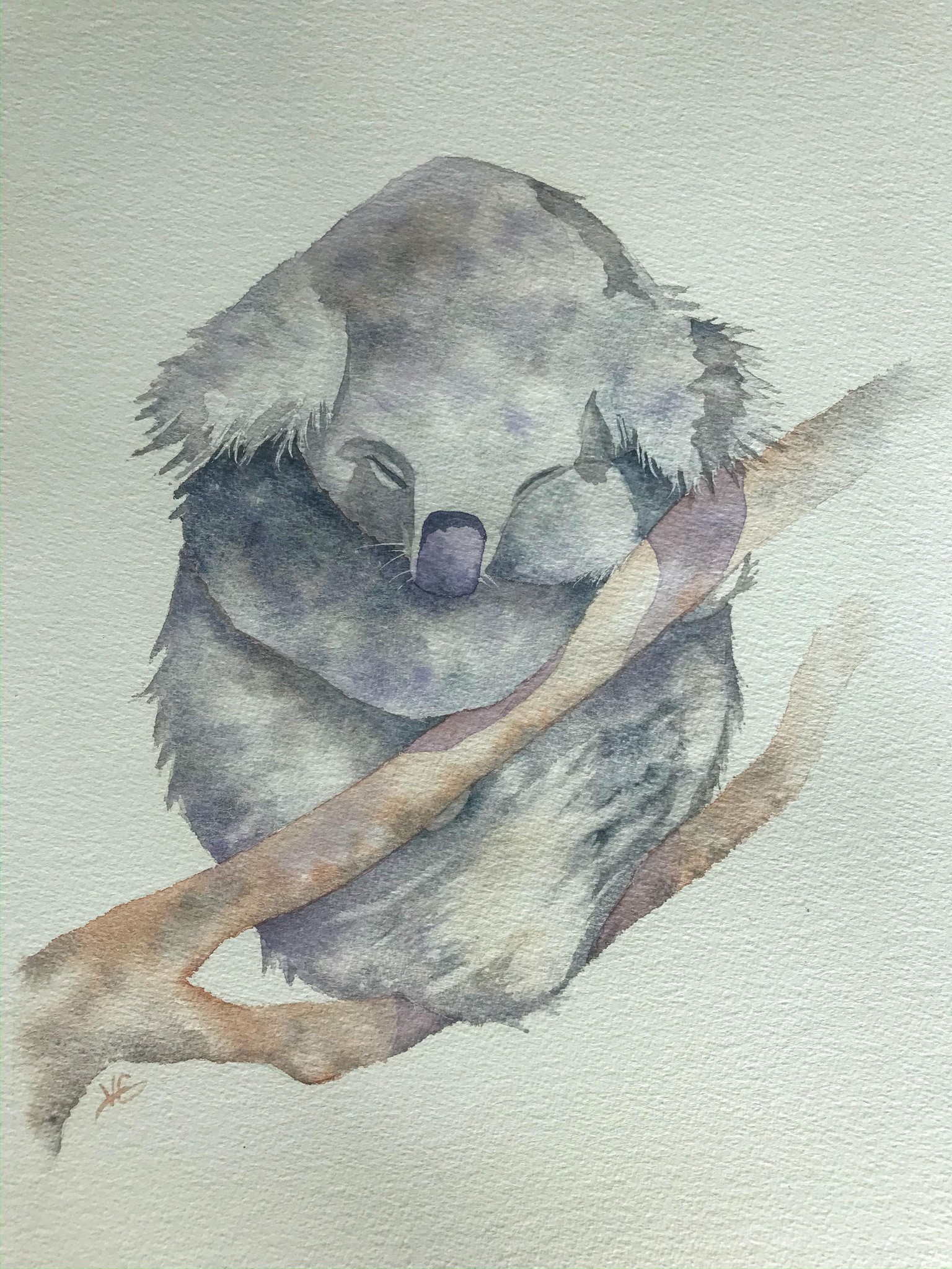 Sleepy Koala - image 1 - student project
