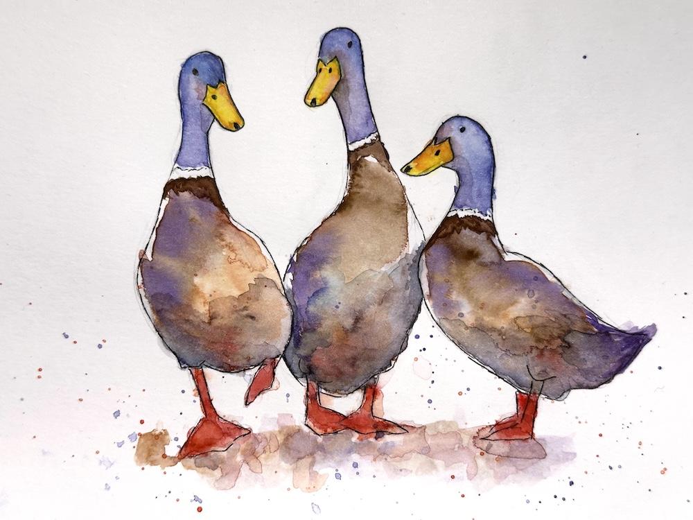 Ducks - image 1 - student project