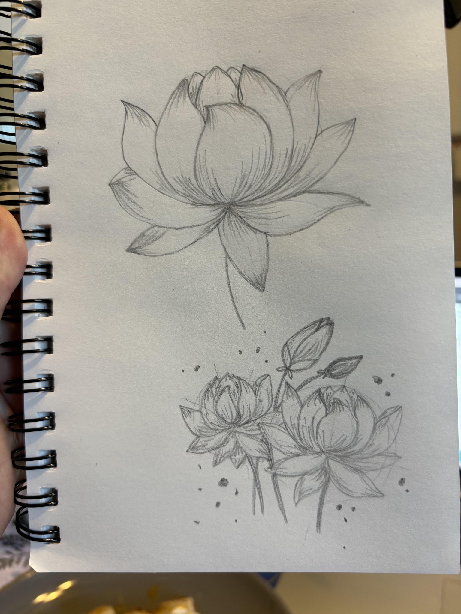 Lotus Practice - image 1 - student project