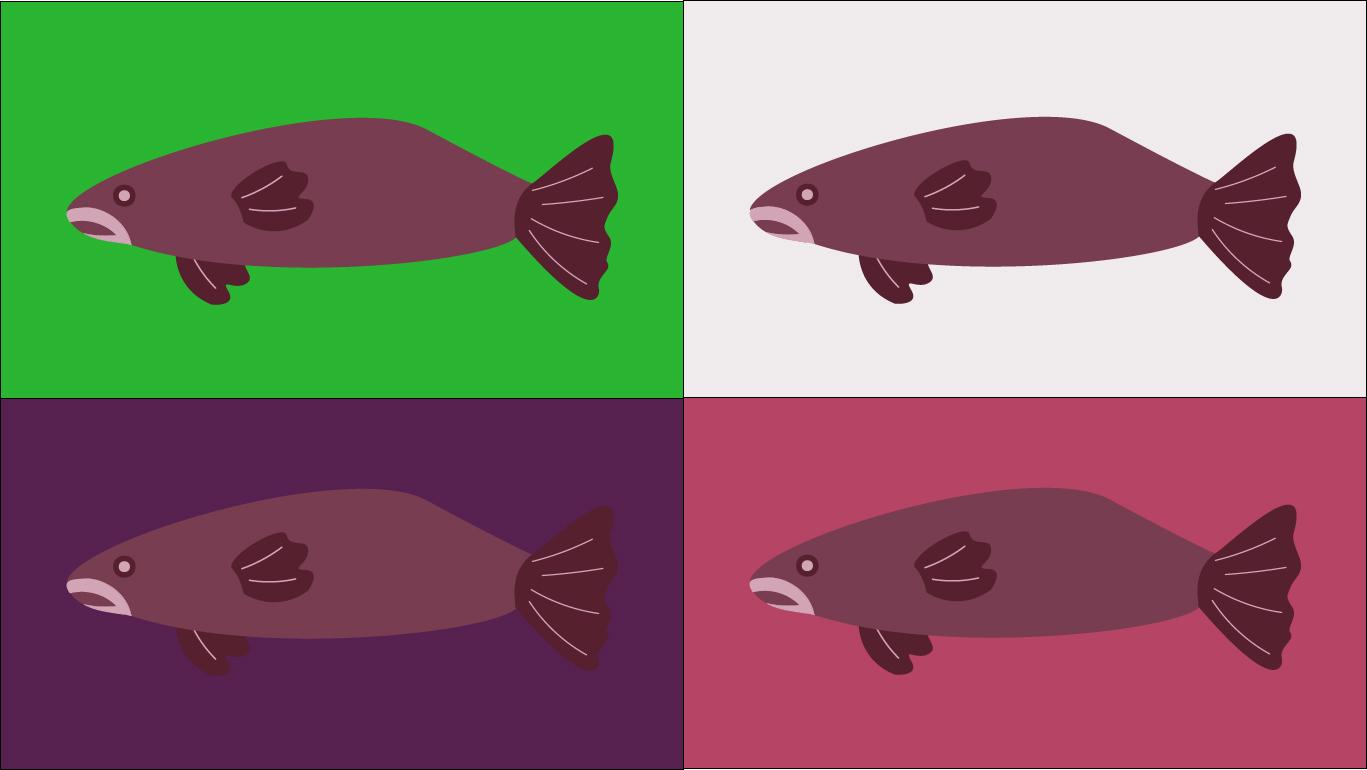 Advanced Adobe Illustrator Projects - image 25 - student project