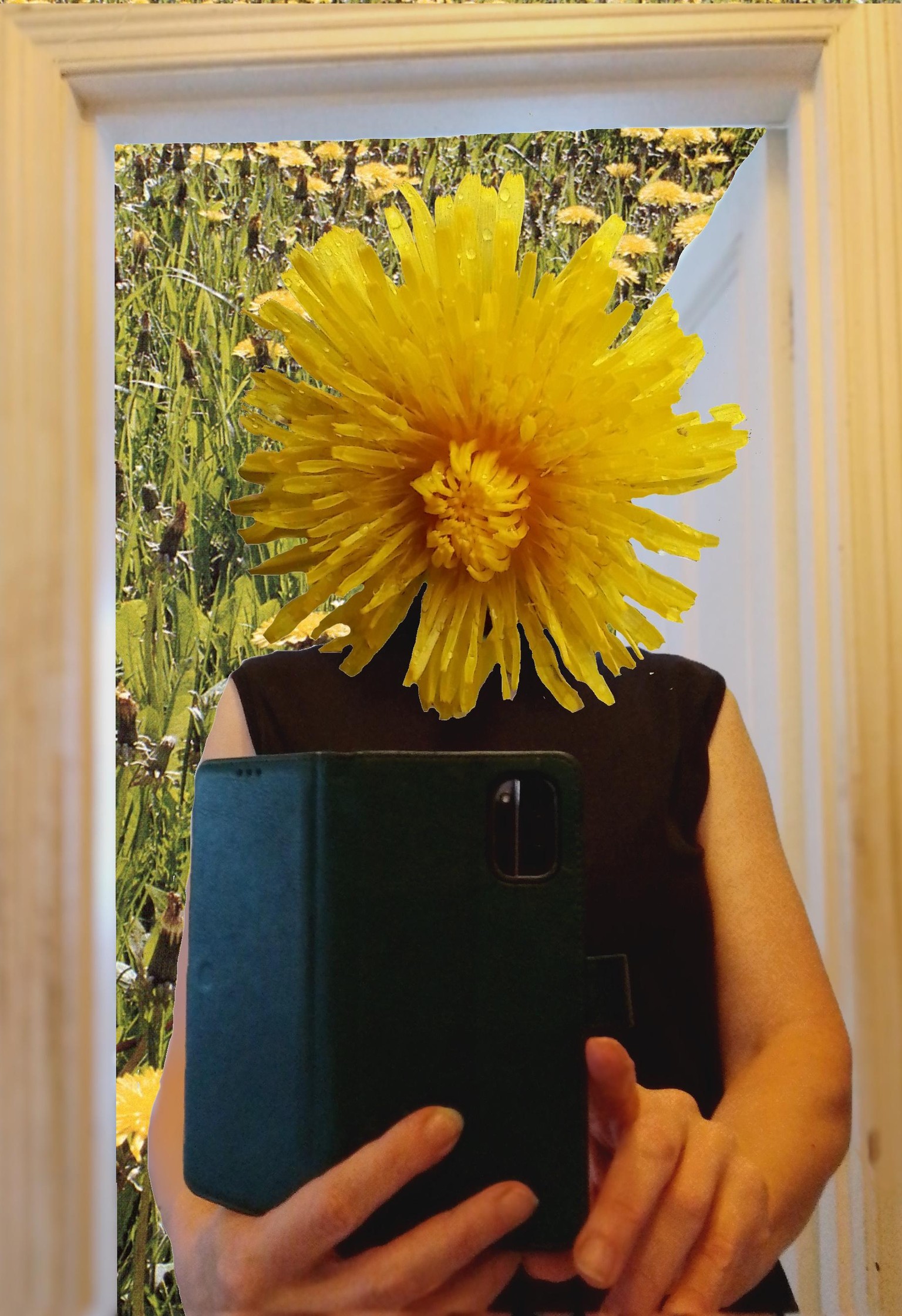Dandelion selfie - image 1 - student project