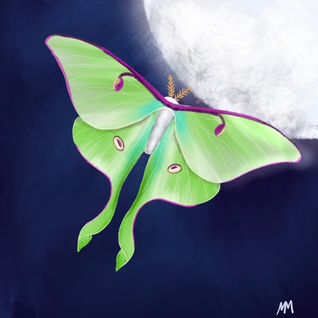 Spring is in the Air - image 6 - student project
