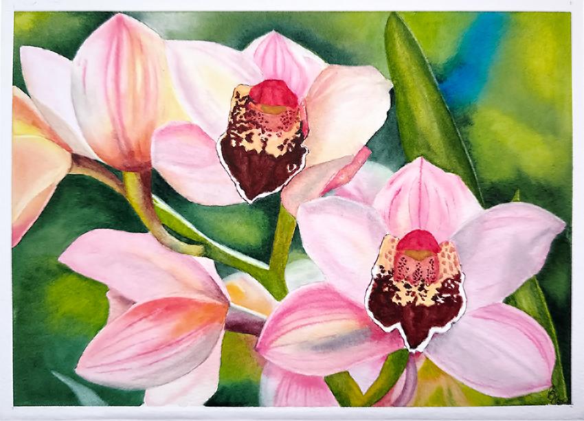 My orchids - image 1 - student project