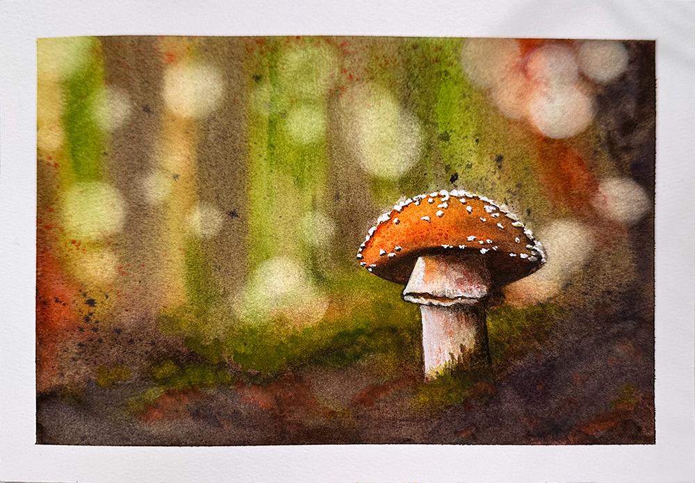 My mushroom study - image 1 - student project