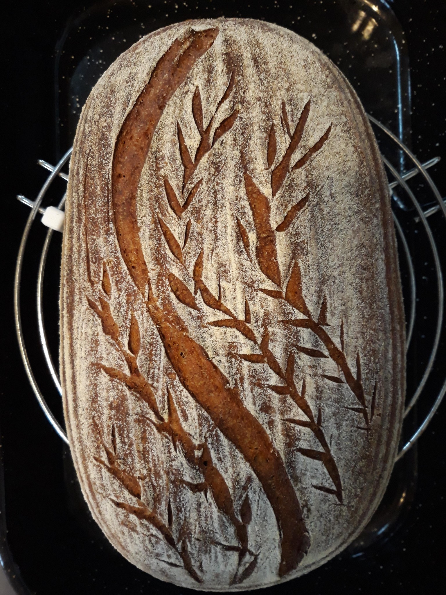 Sourdough bread - image 1 - student project