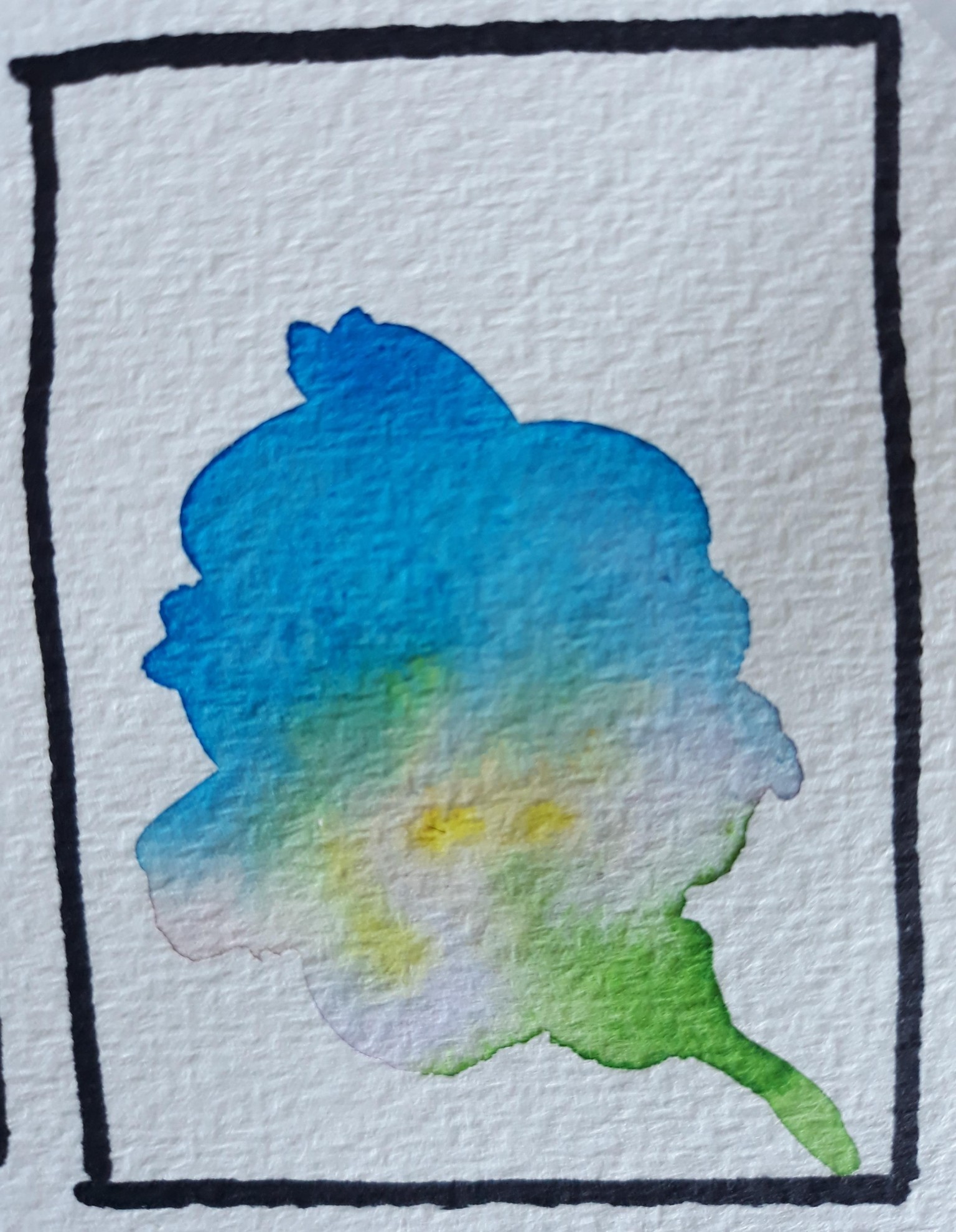 Learning watercolour techniques - image 1 - student project