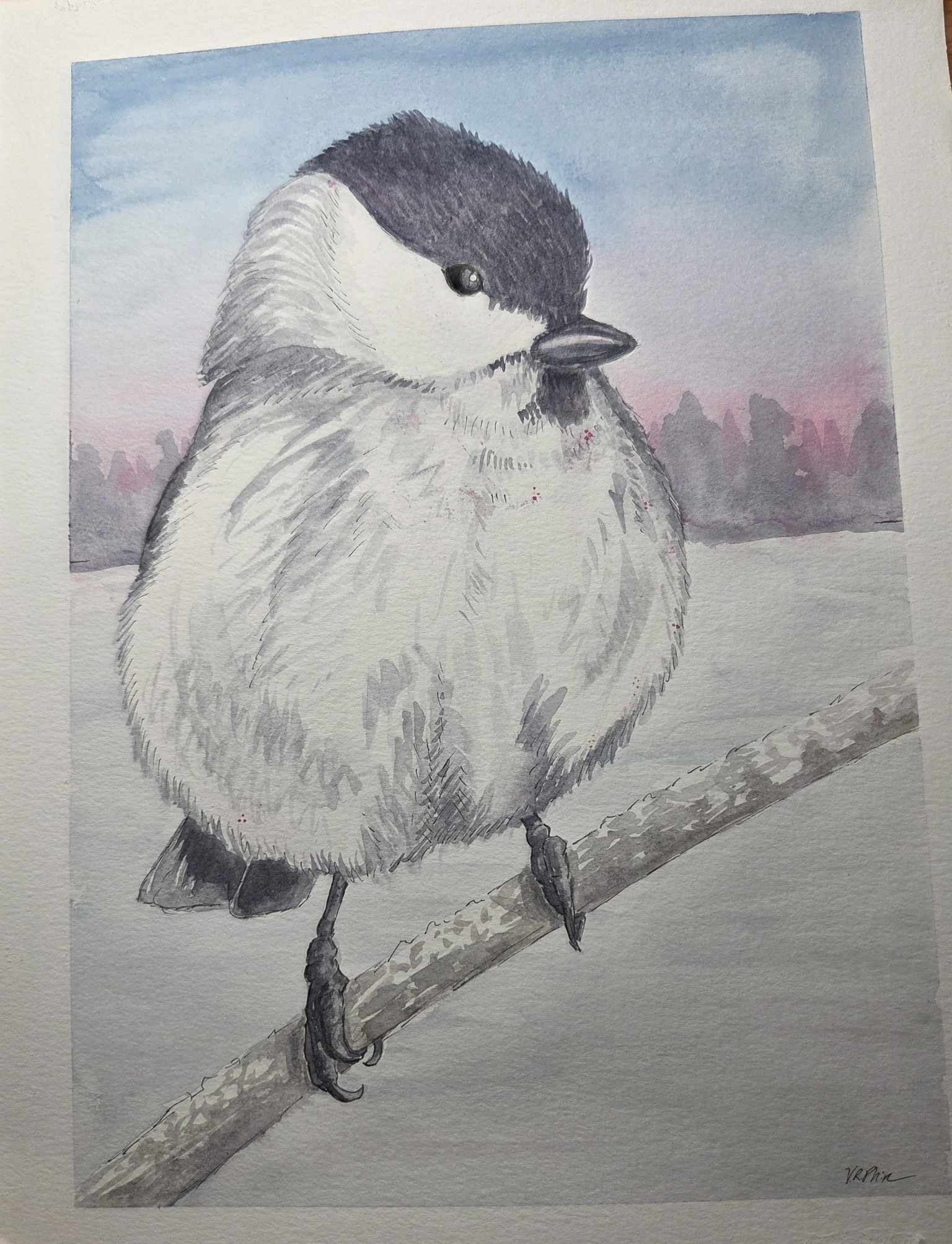 Chickadee for Amy Earls - image 1 - student project