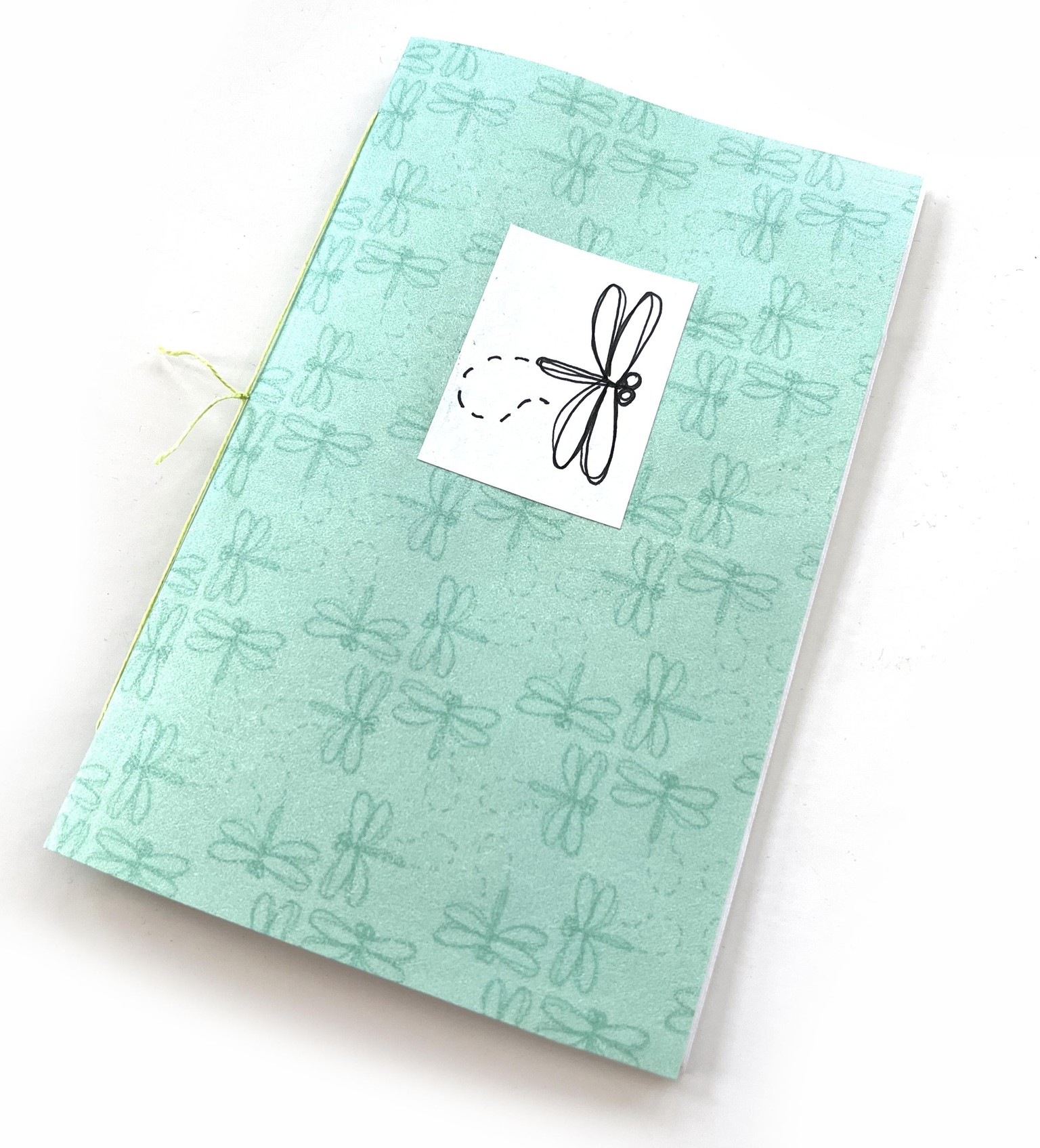 Dragonfly Notebook - image 1 - student project