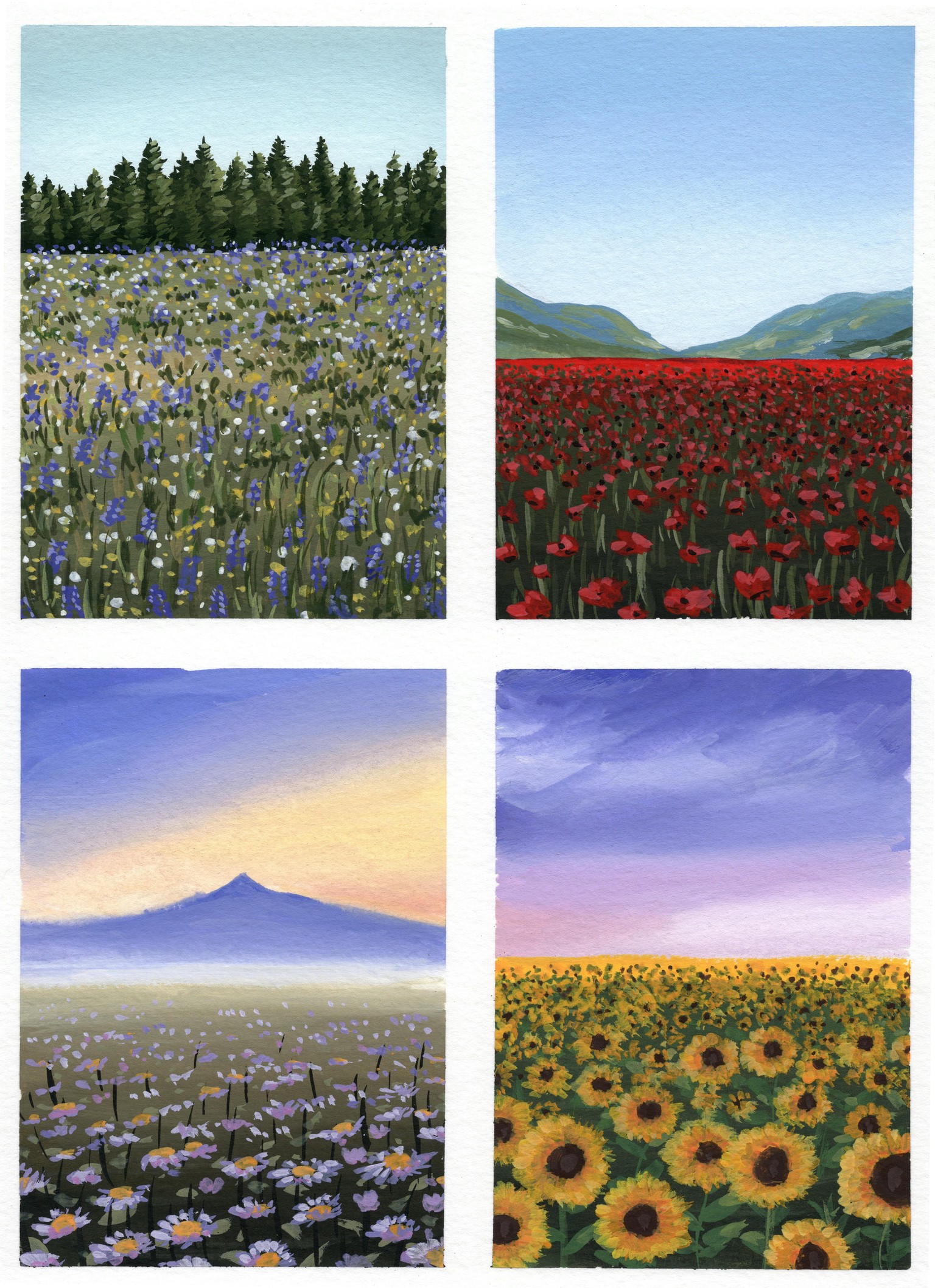 Flower Fields - image 1 - student project