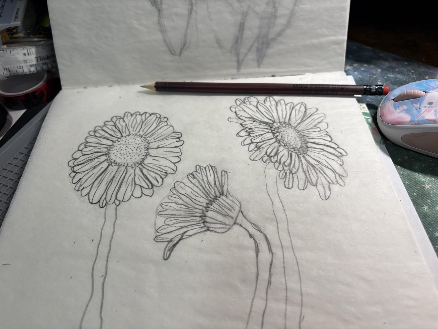 Lively Gerbera Daisies - image 1 - student project