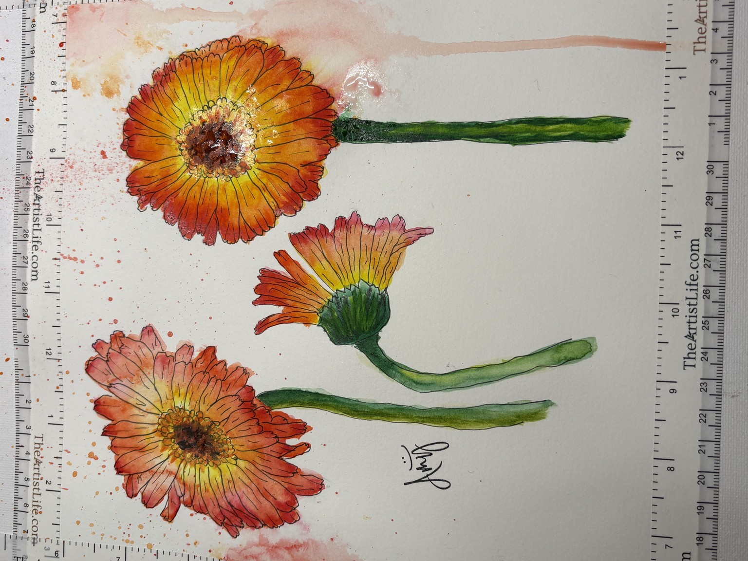 Lively Gerbera Daisies - image 3 - student project