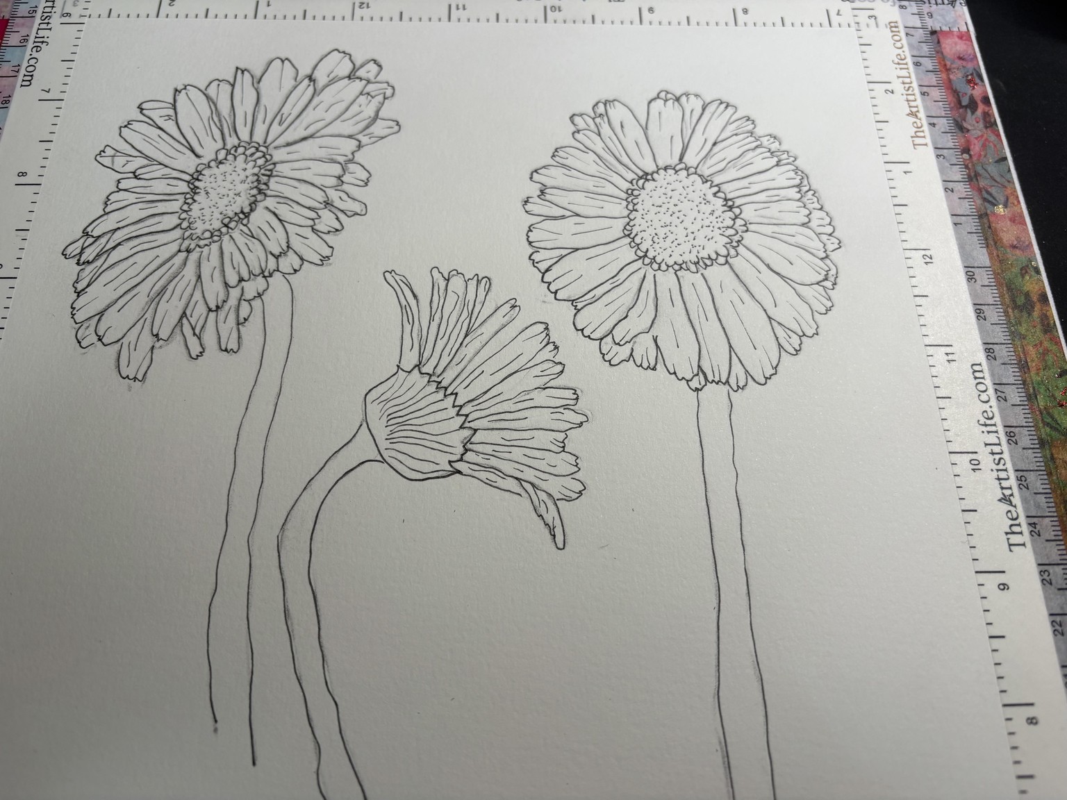 Lively Gerbera Daisies - image 2 - student project