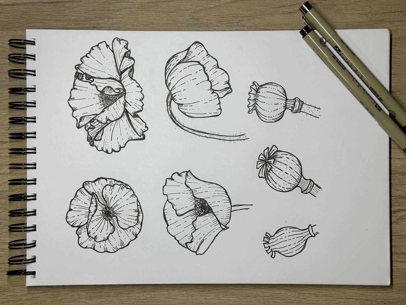 Poppy Flower - image 1 - student project