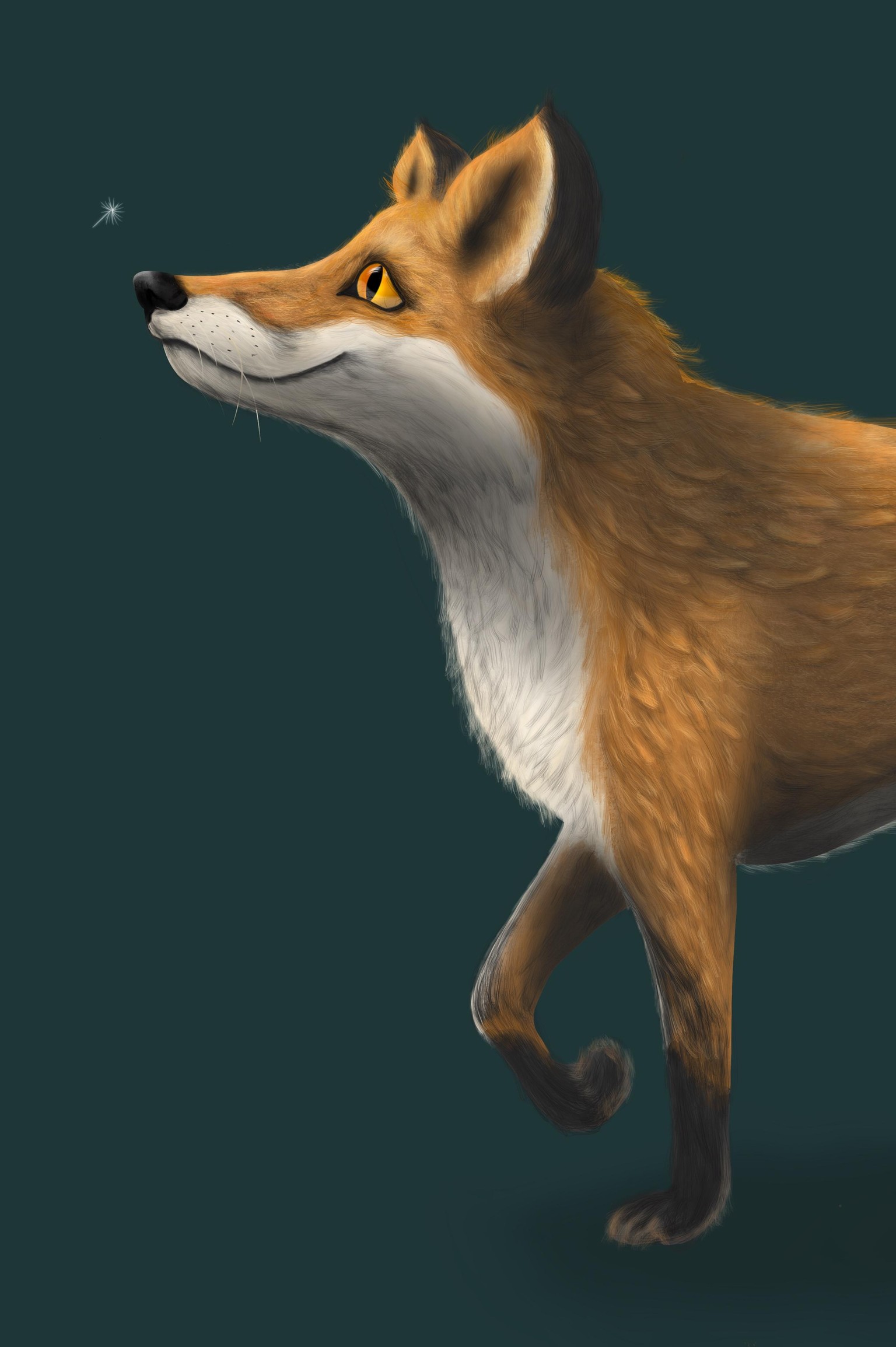 Foxy - image 1 - student project