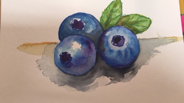 Blueberries - image 4 - student project