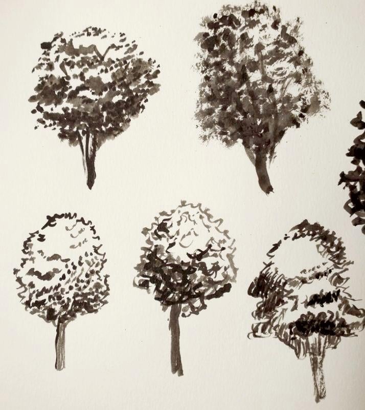 Trees - image 2 - student project
