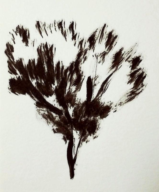 Trees - image 5 - student project