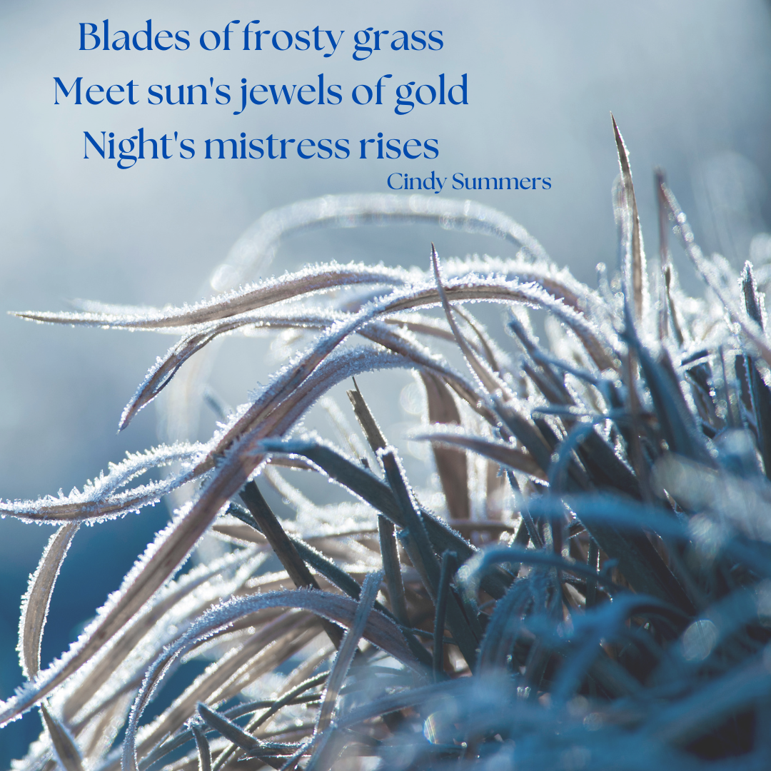 Winter Haiku - image 1 - student project