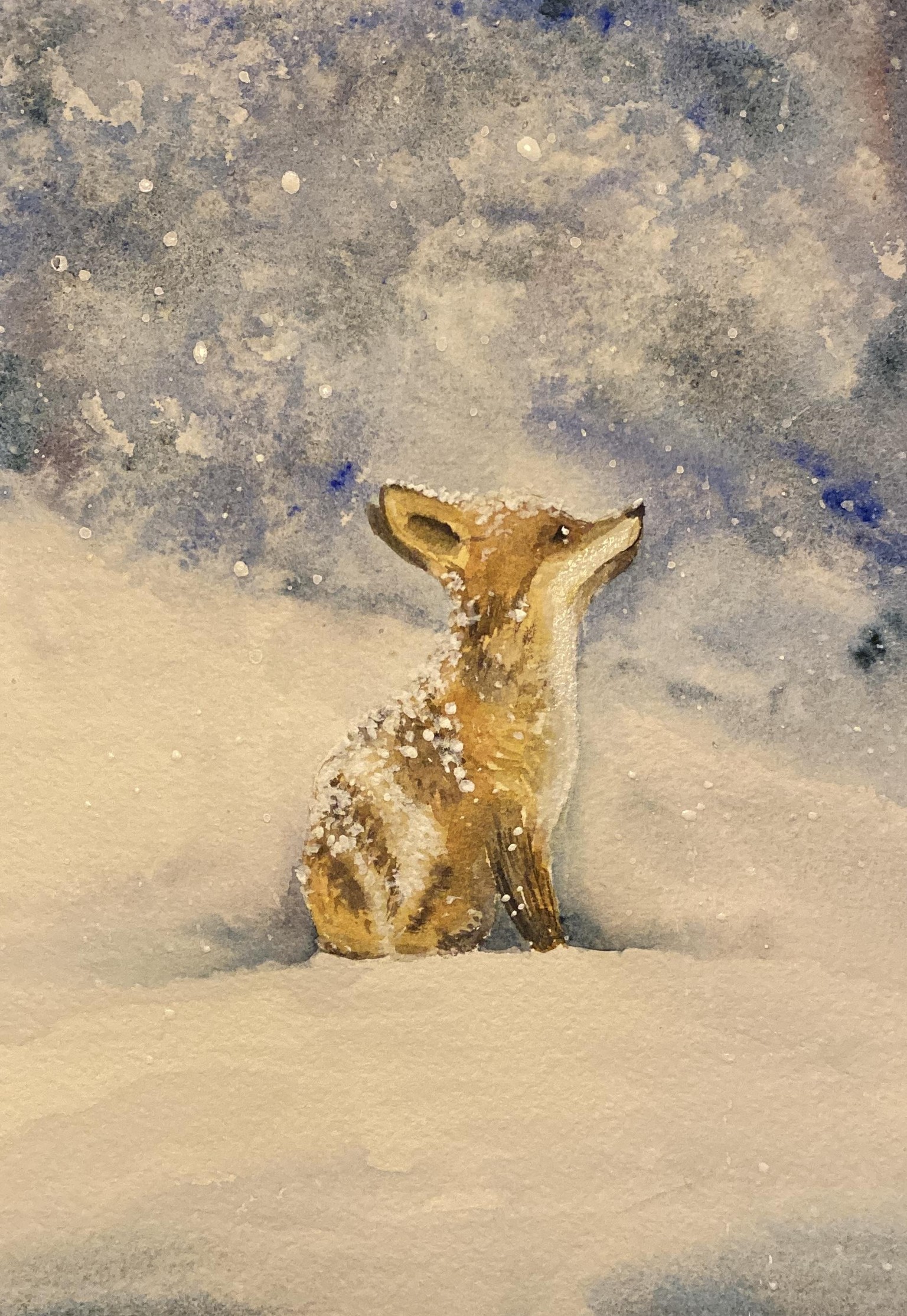 Fox - image 1 - student project