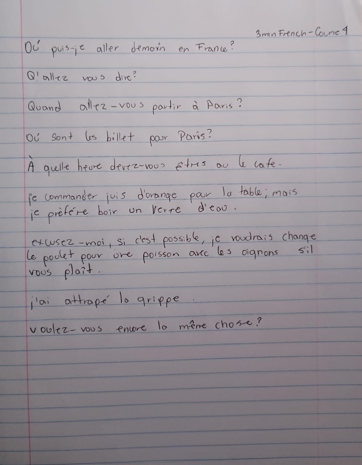 Frech Course 4 - image 1 - student project