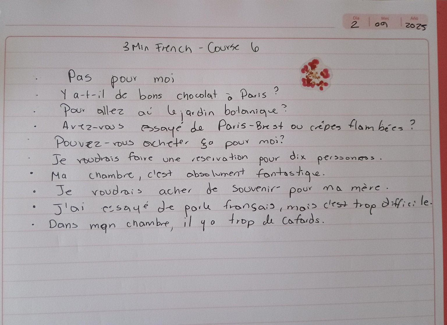 Frech Course 6 - image 1 - student project