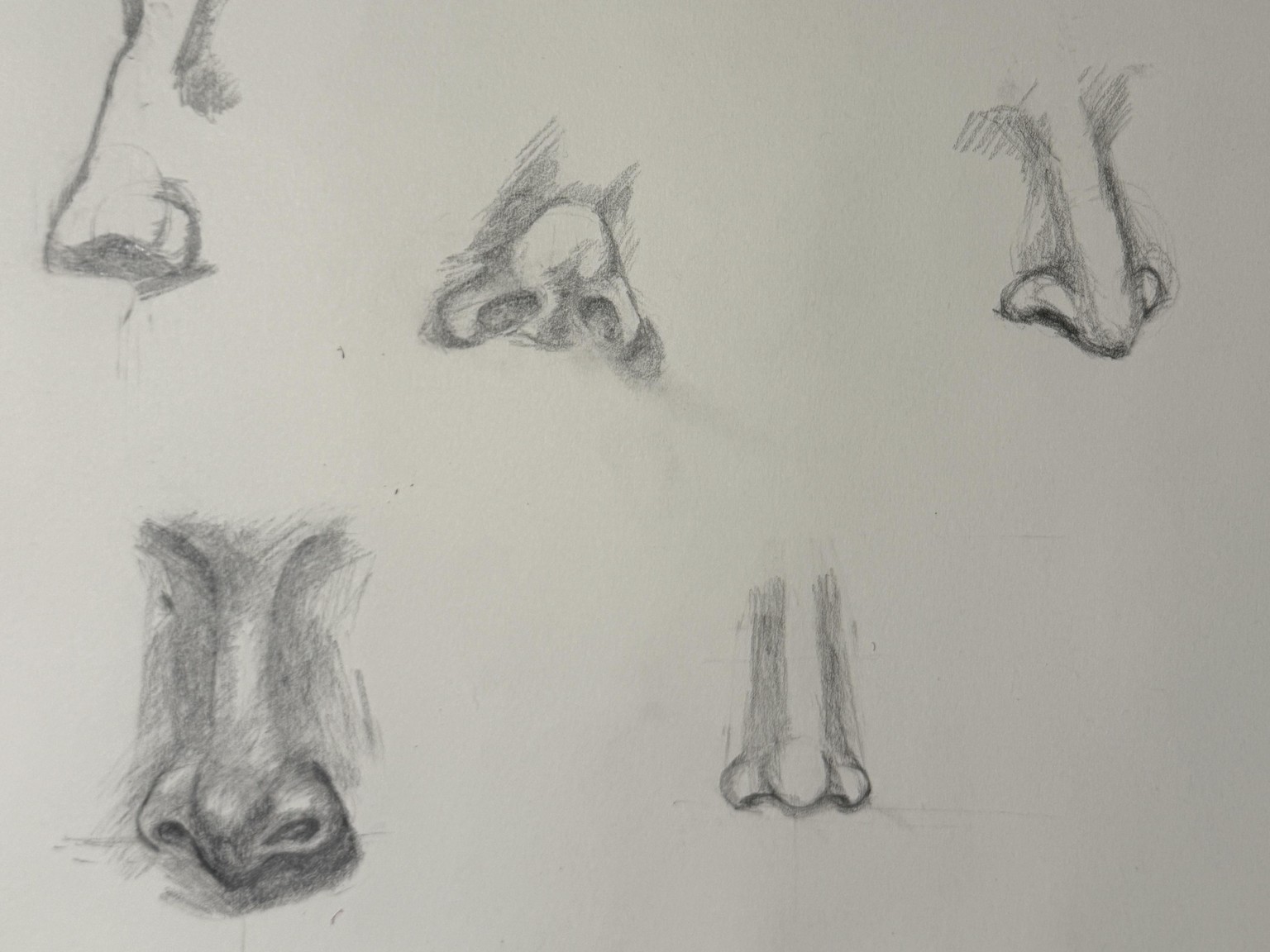 Introduction to portrait drawing - image 3 - student project