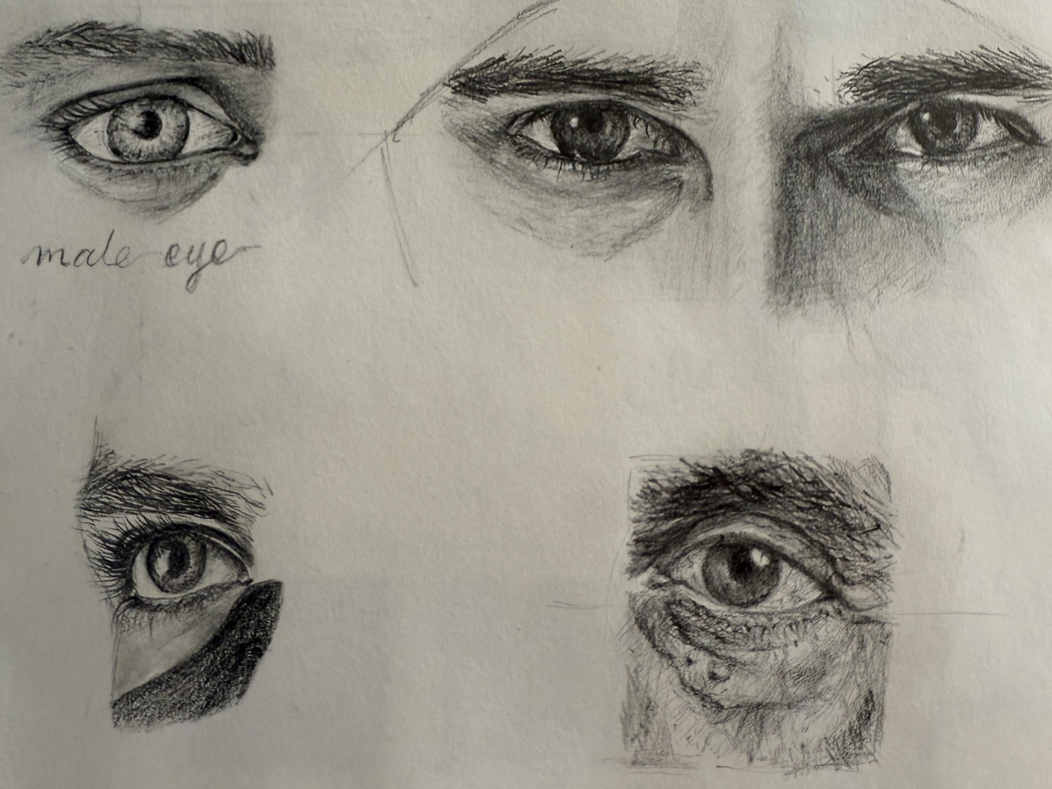 Introduction to portrait drawing - image 1 - student project
