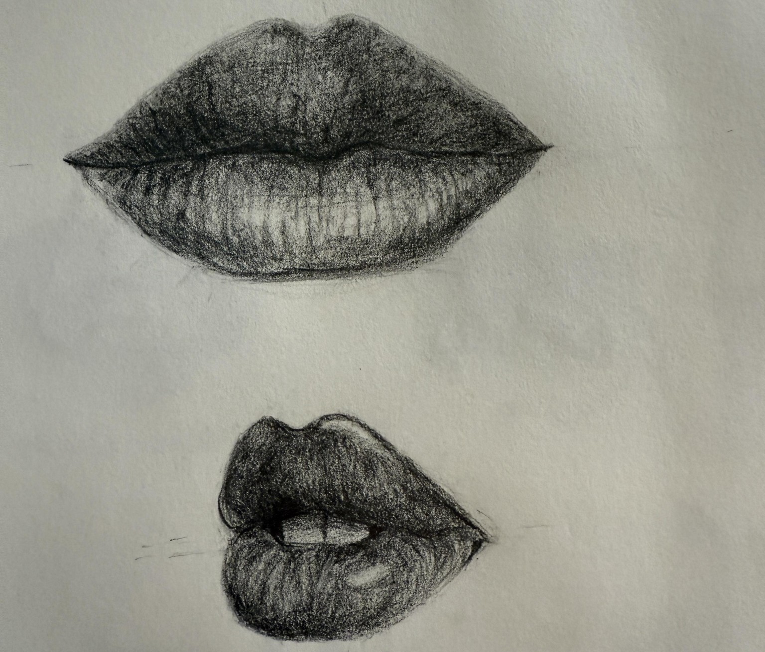 Introduction to portrait drawing - image 2 - student project