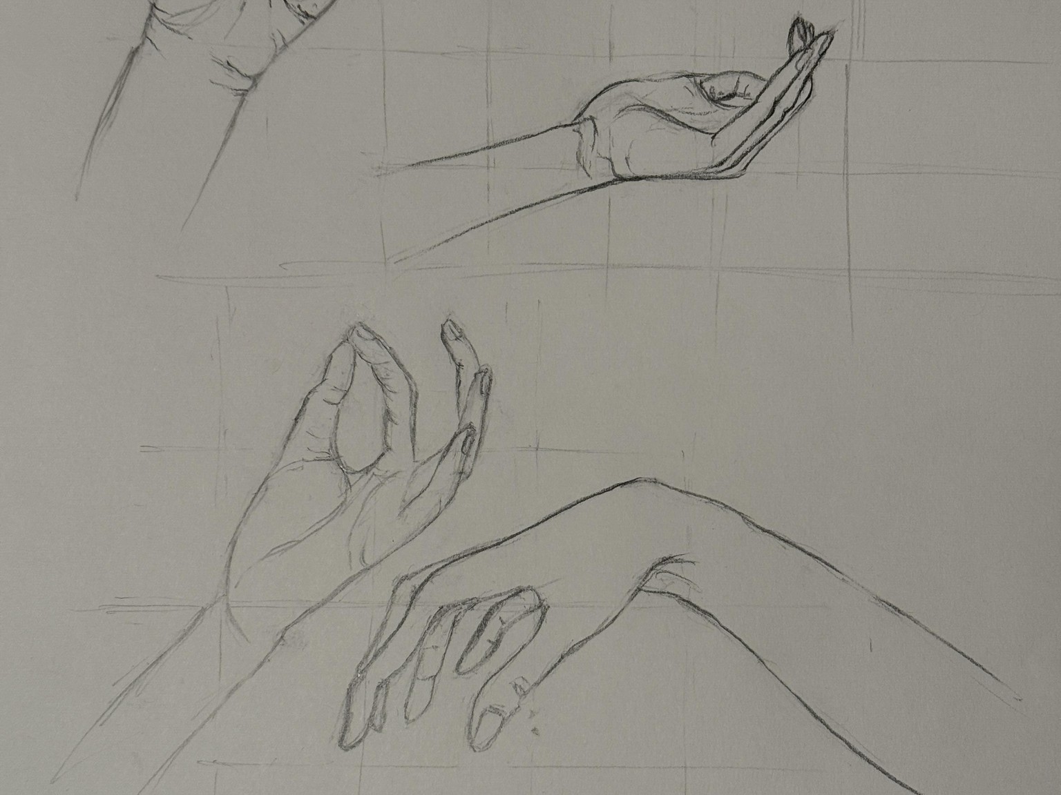 Introduction to portrait drawing - image 4 - student project