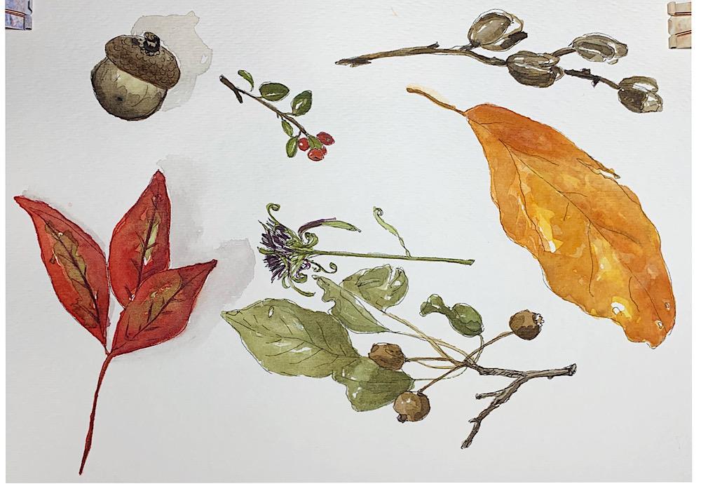 Happy Fall y’all - image 1 - student project