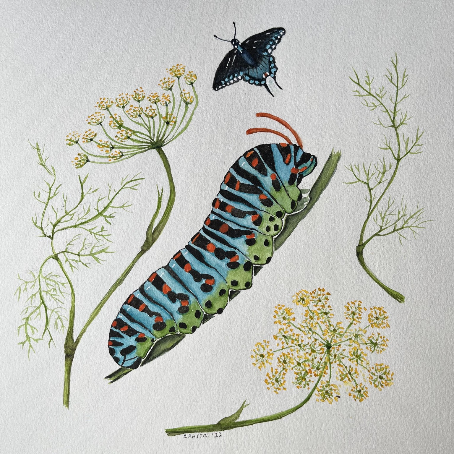 Painting Nature Black Swallowtail Caterpillar - image 1 - student project