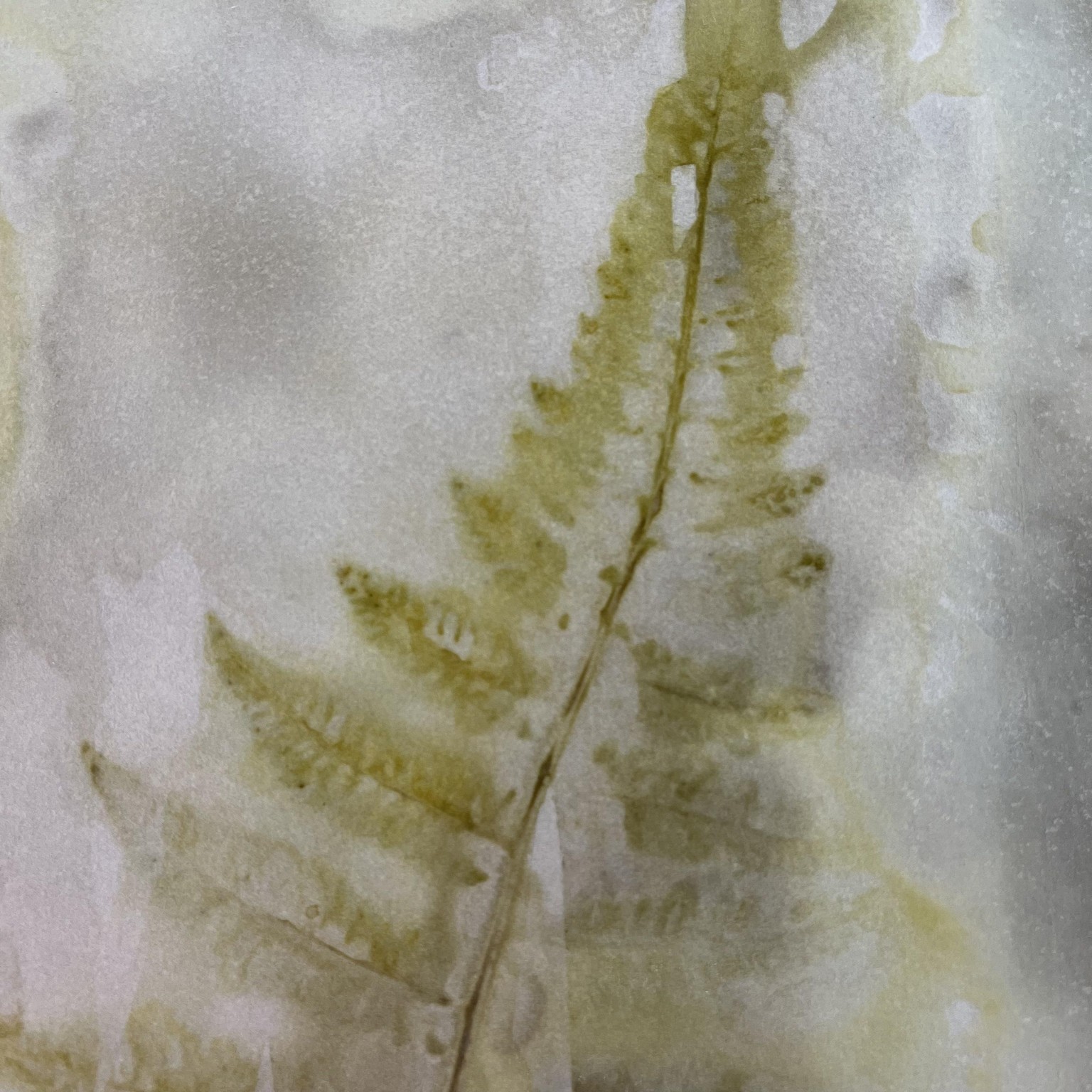 Eco-printing - image 5 - student project