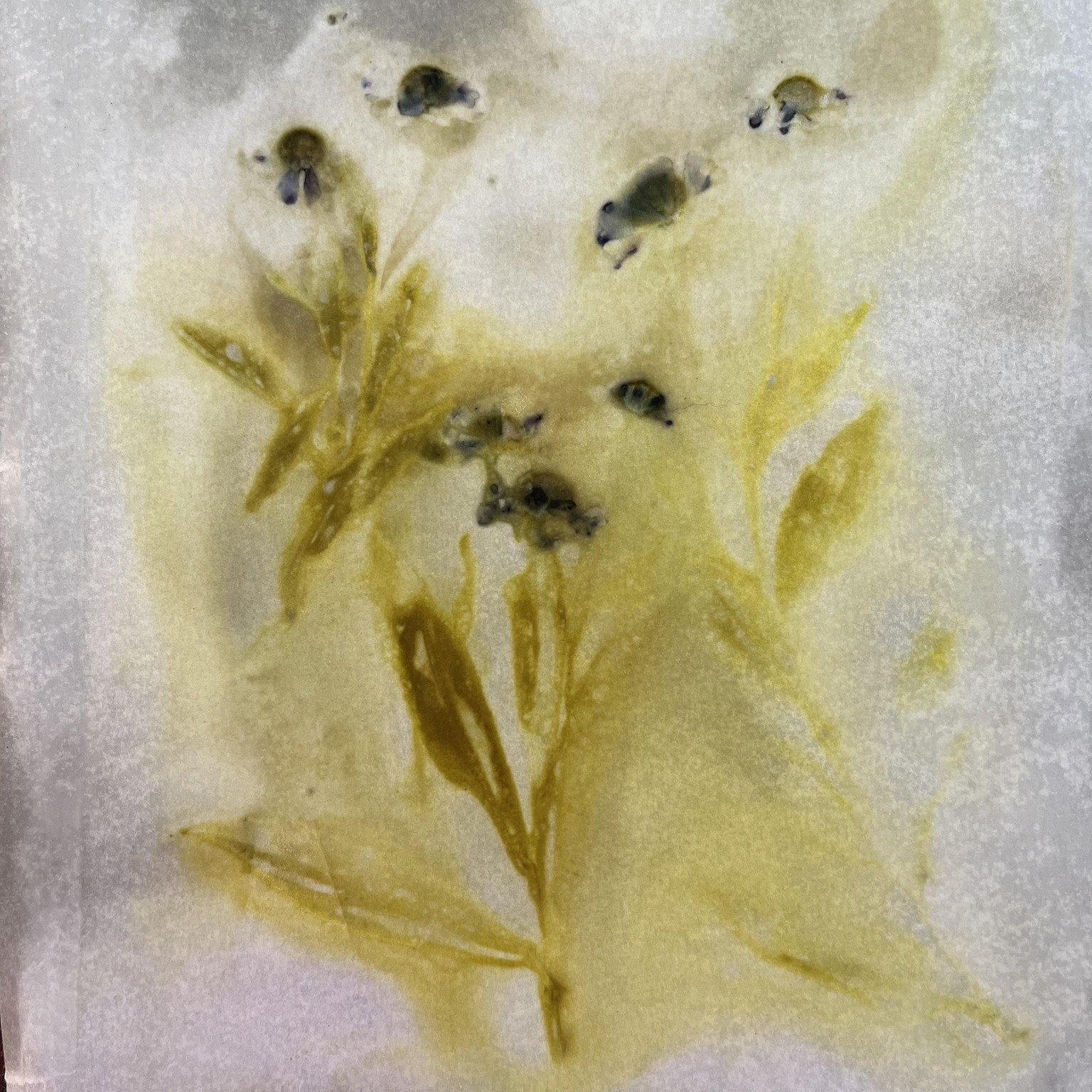 Eco-printing - image 2 - student project