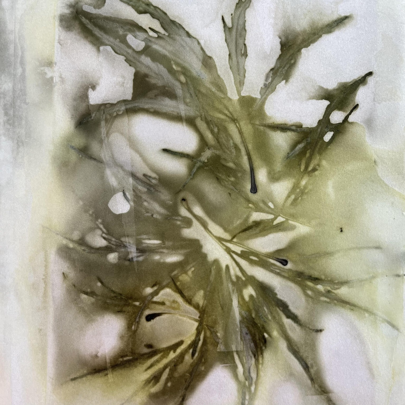 Eco-printing - image 7 - student project