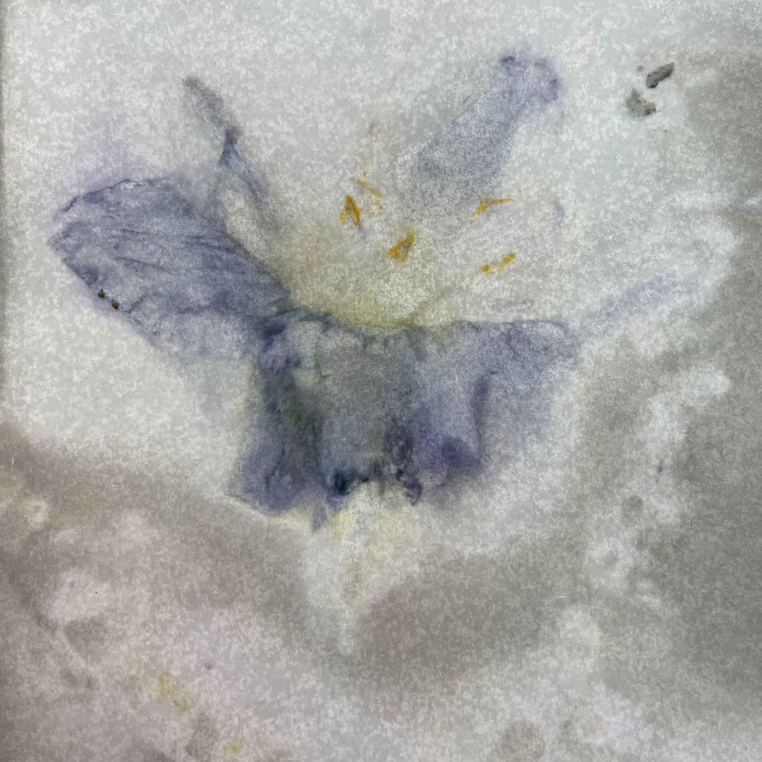 Eco-printing - image 1 - student project
