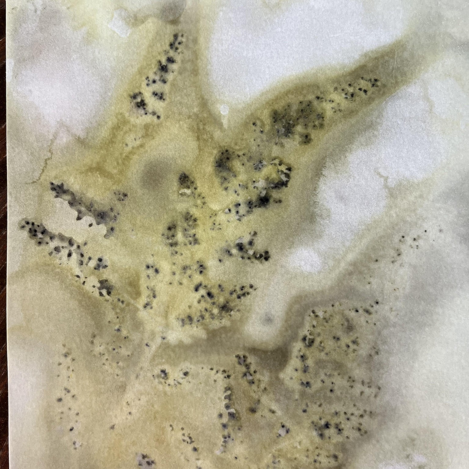 Eco-printing - image 4 - student project