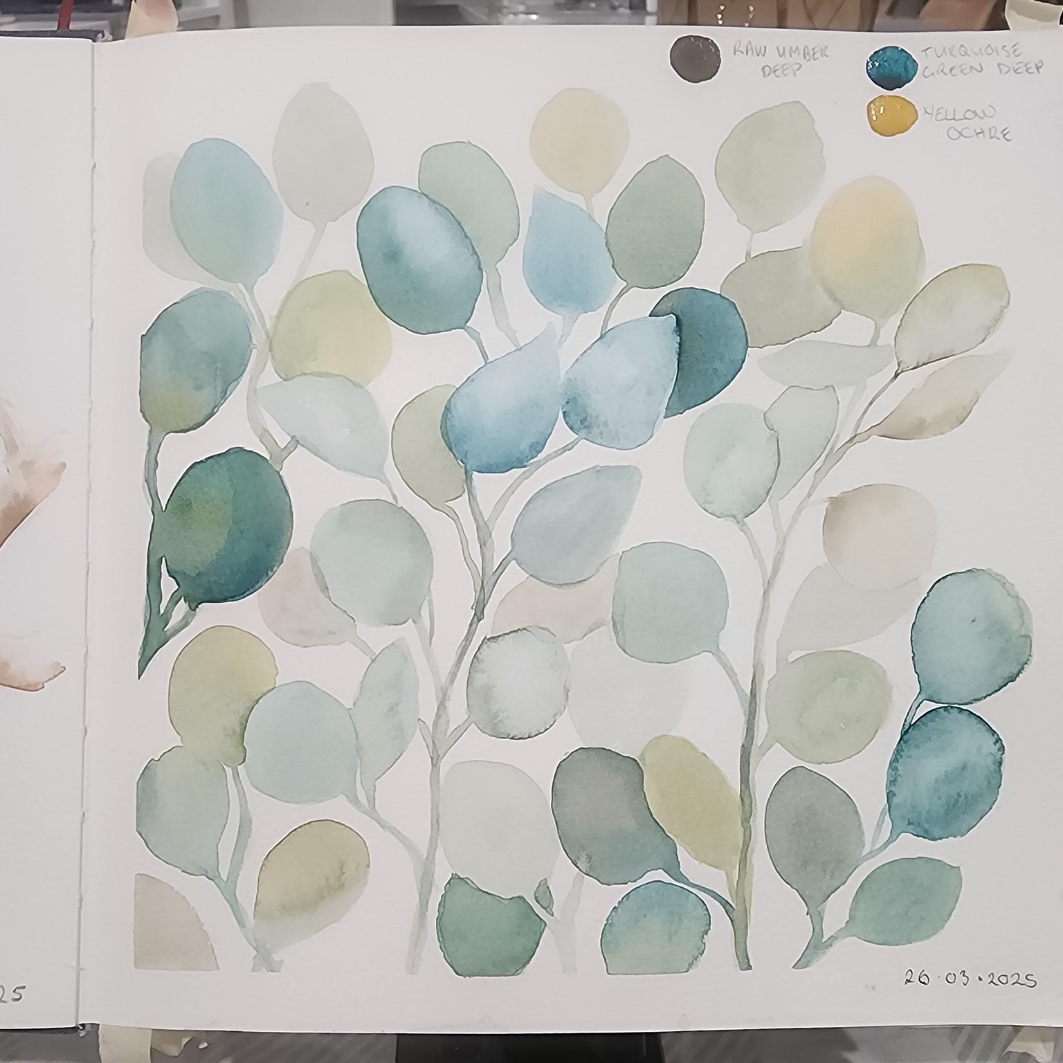 Eucalyptus leaves - image 1 - student project