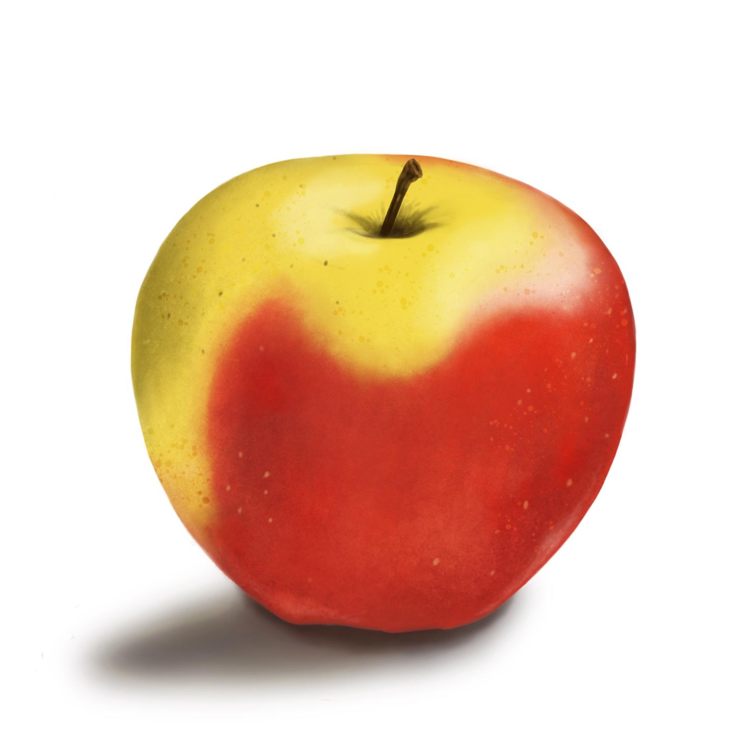 Fruit studies - image 2 - student project