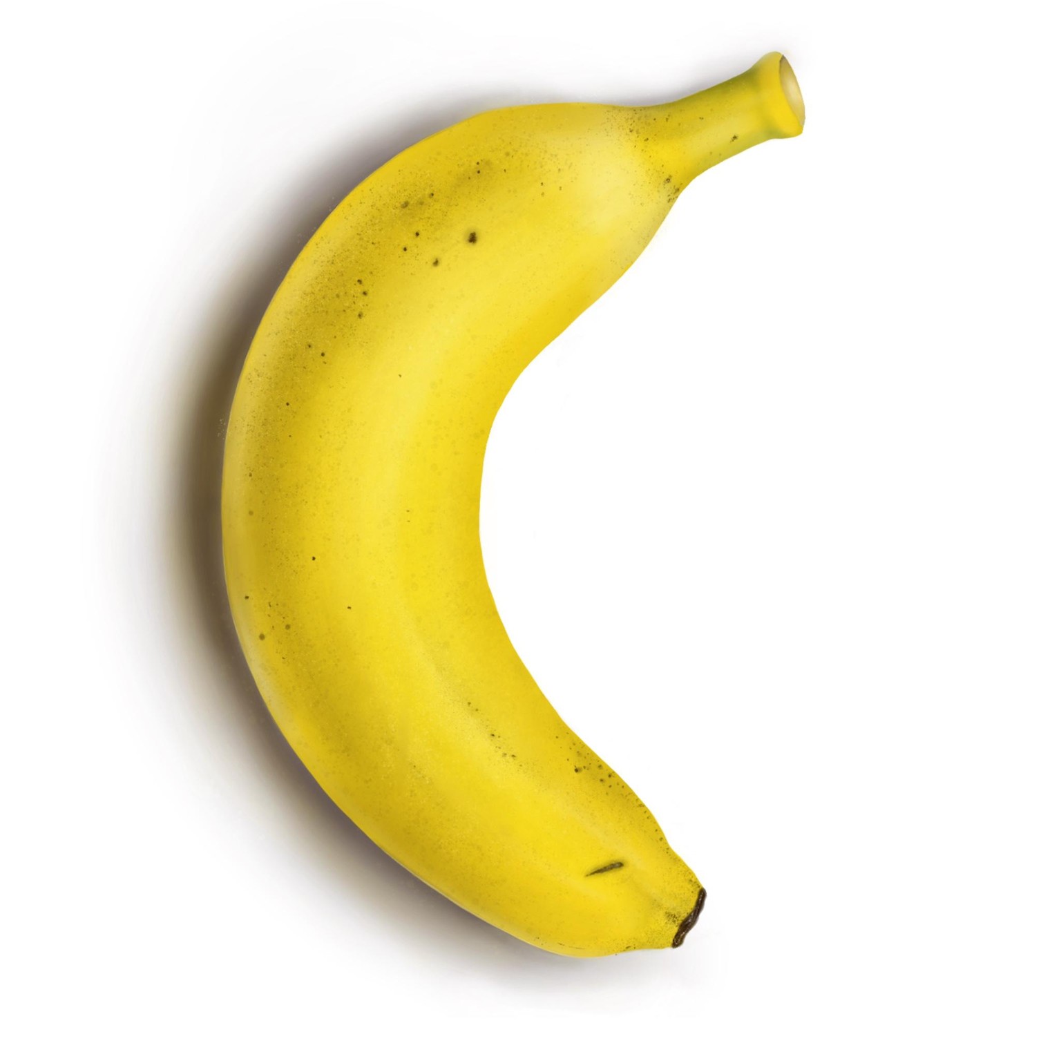Fruit studies - image 4 - student project
