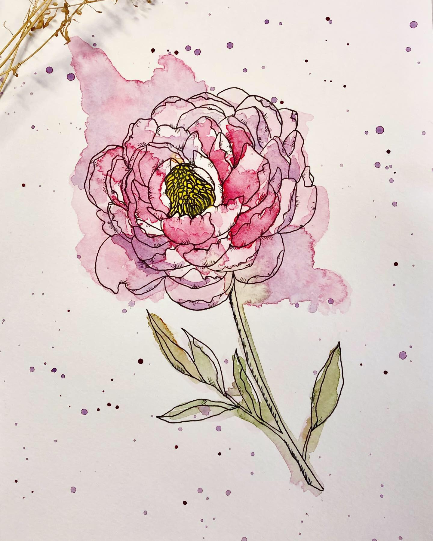 peony - image 1 - student project