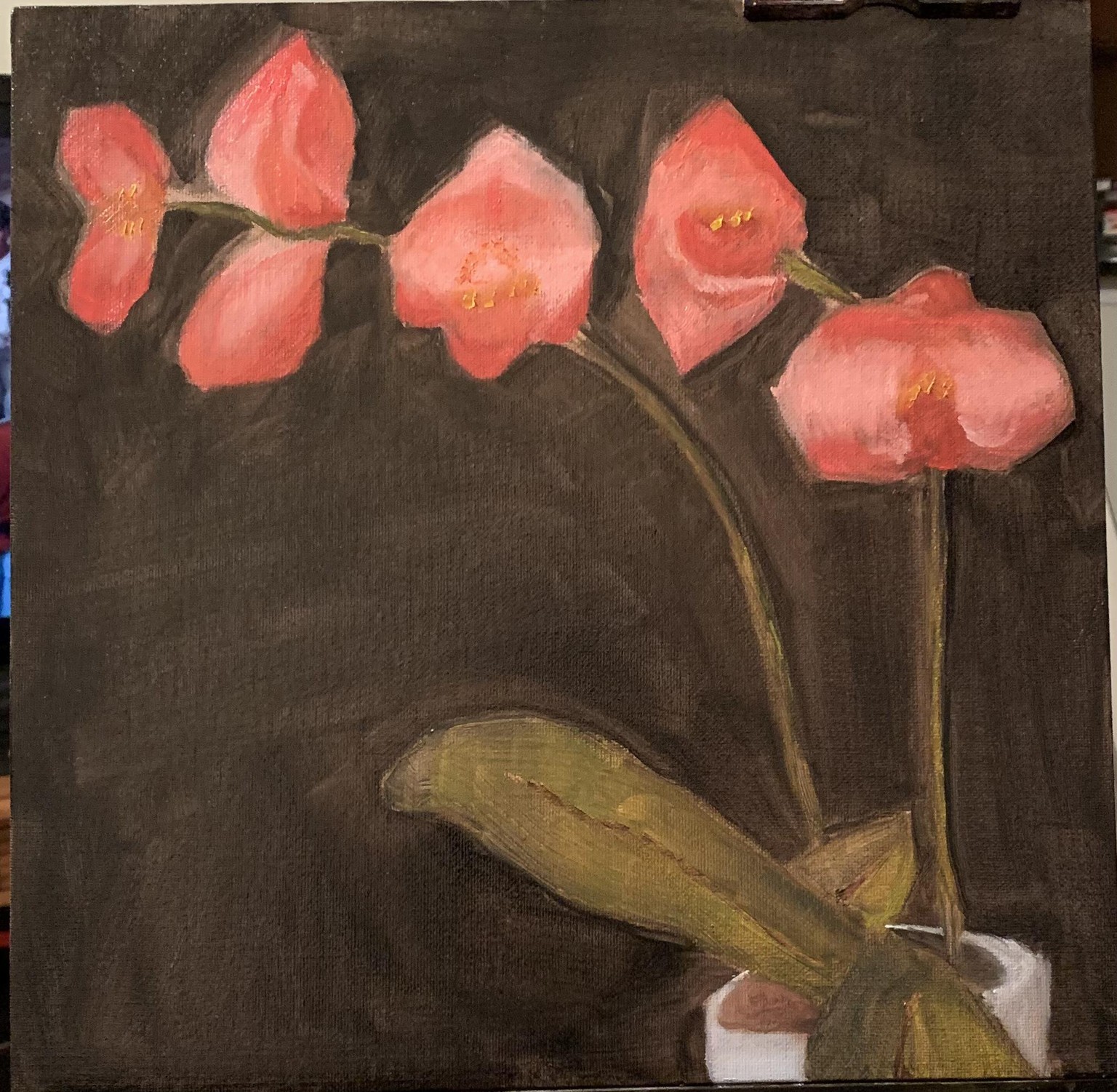 Orchids - image 1 - student project