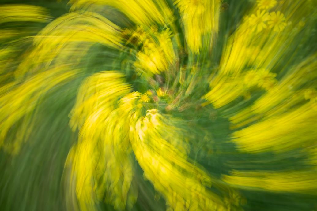 Intentional Camera Movement - image 2 - student project