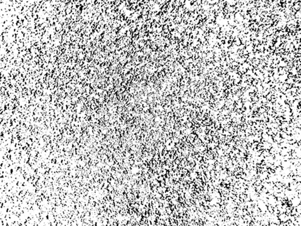 Texture Fun - image 4 - student project