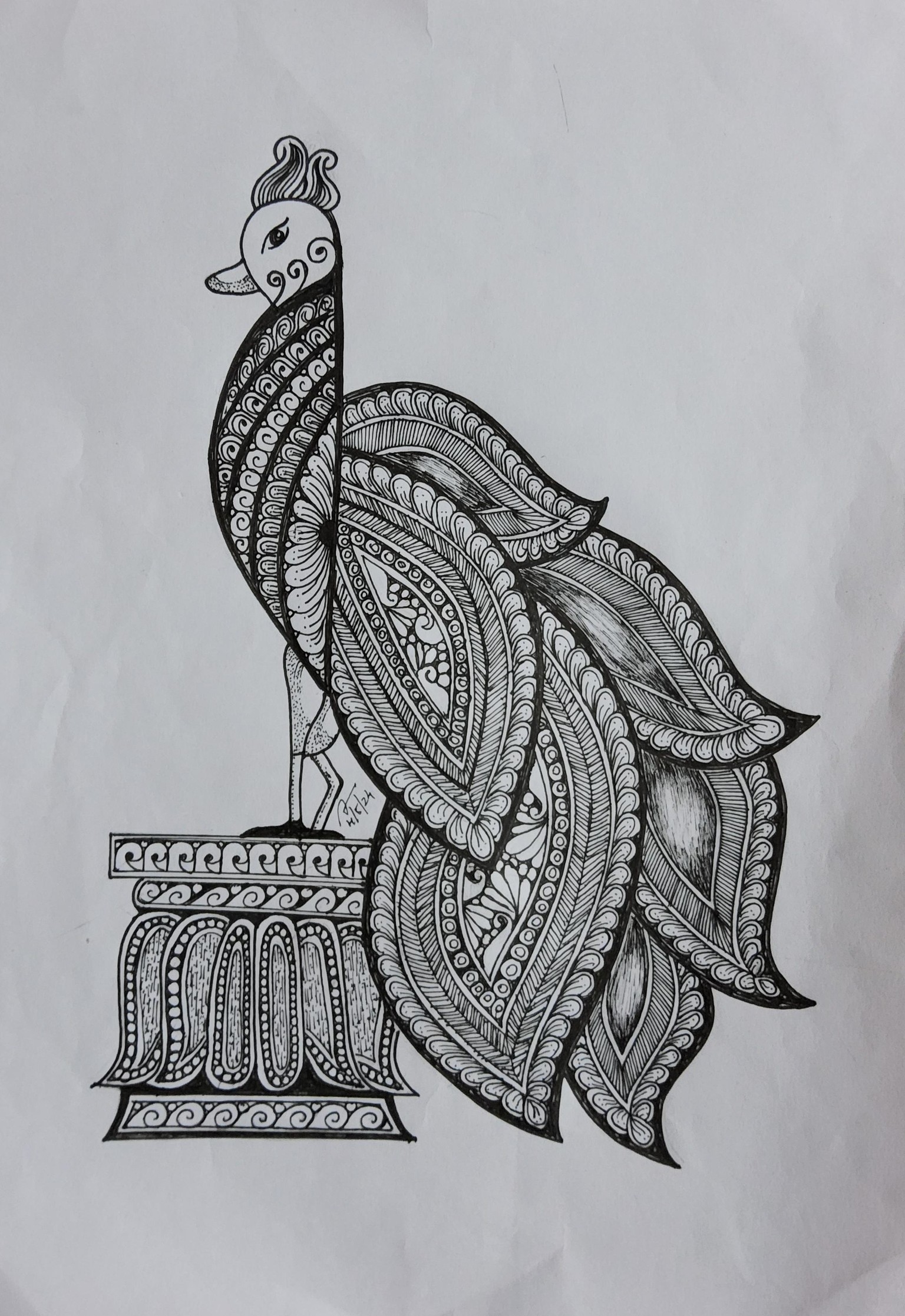 Peaceful Peacocks - image 1 - student project