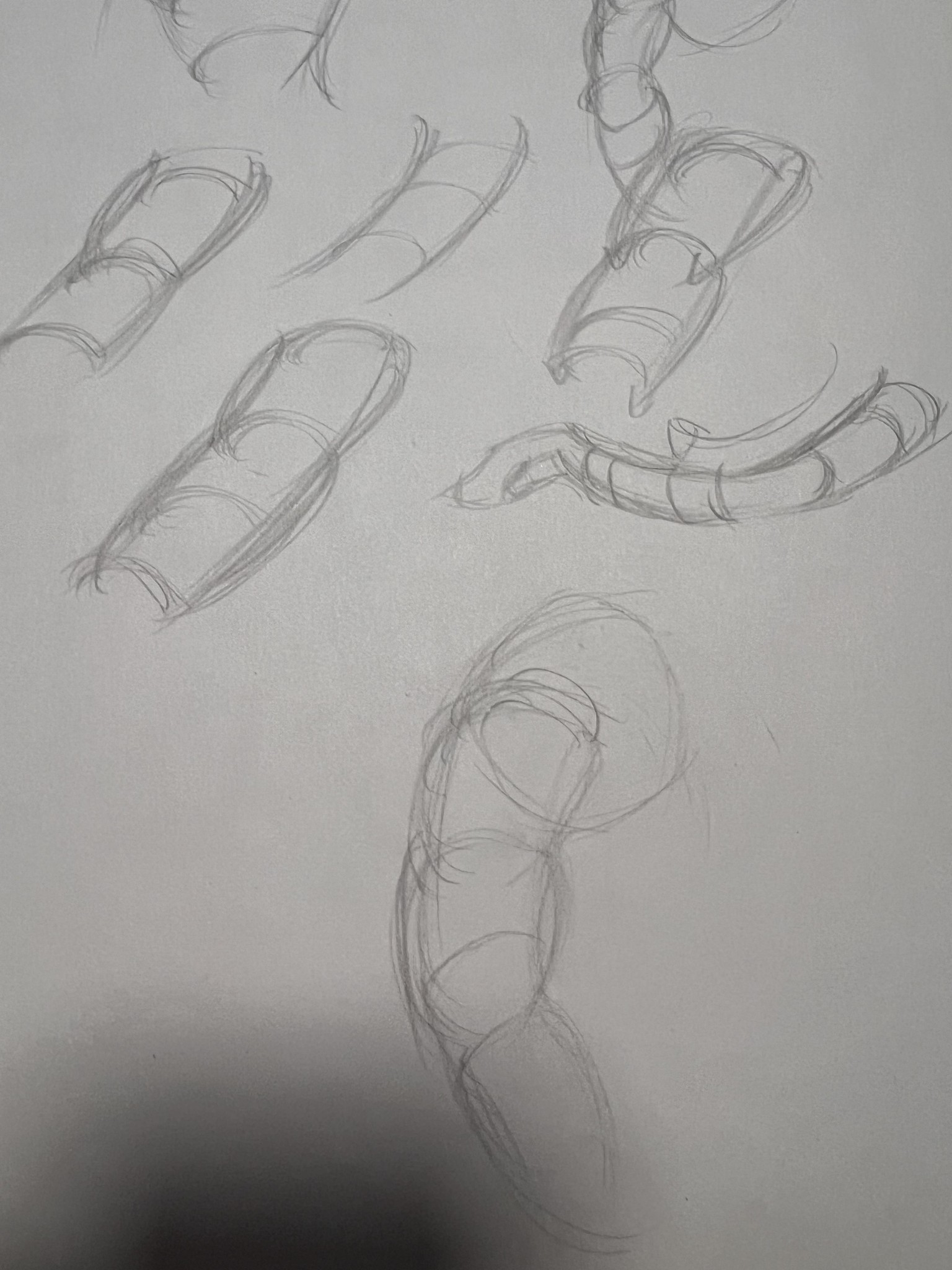 Body and Head Construction Practice - image 3 - student project