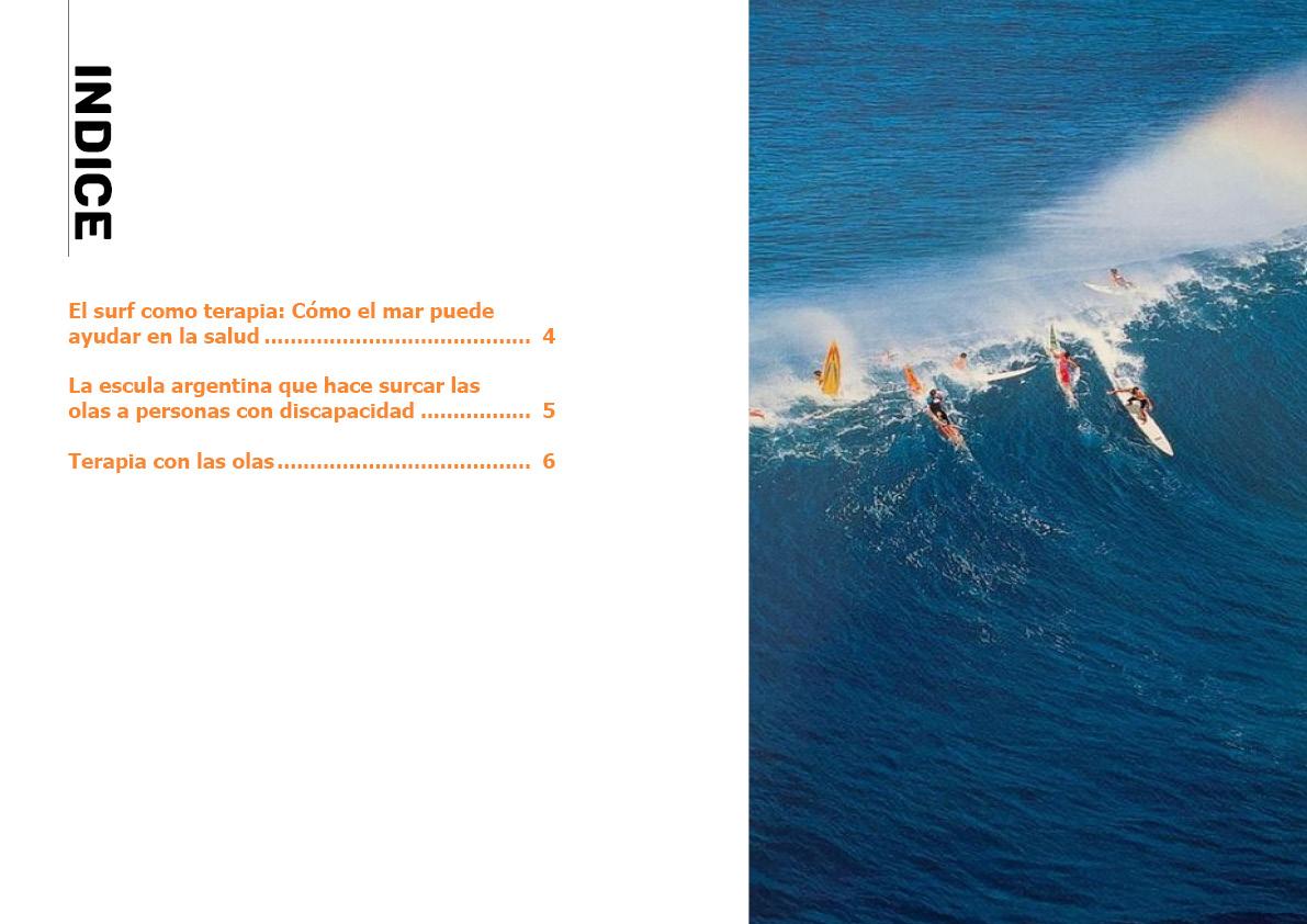 Revista de Surf - Proyecto final para el curso PROFESIONAL de InDesign - image 2 - student project