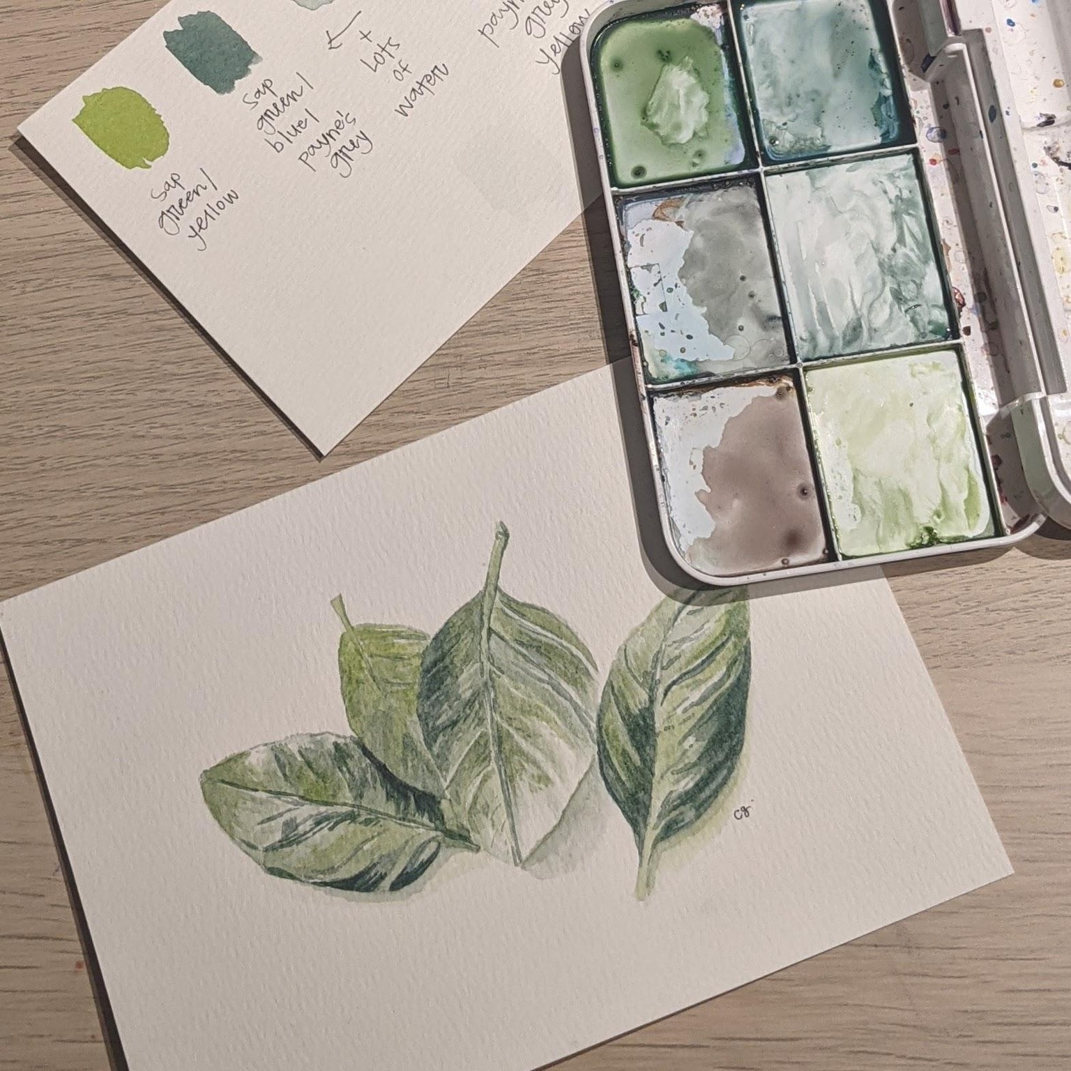 Basil and Chamomile - image 2 - student project