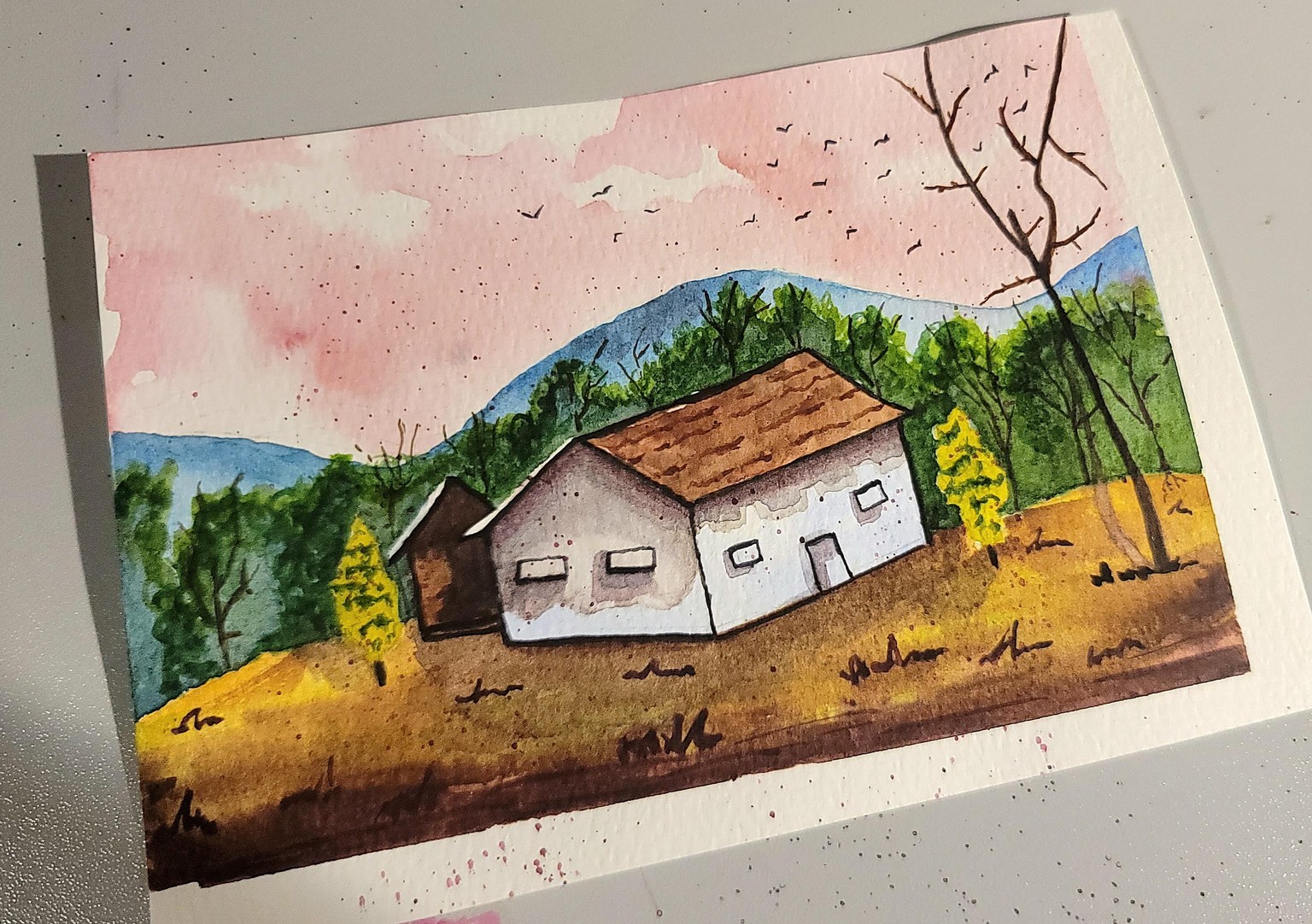 4 Lil cottages - image 3 - student project