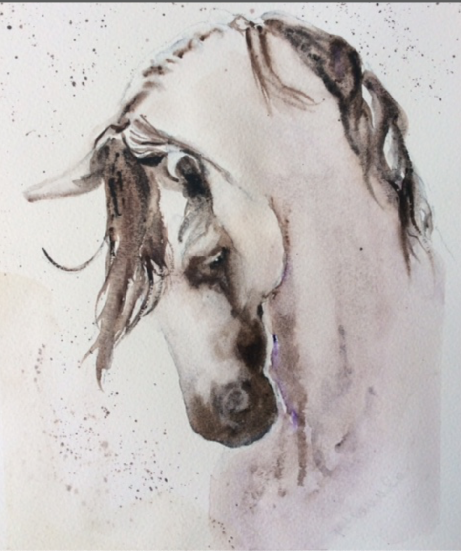 Horse #2 - image 1 - student project